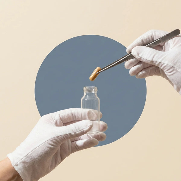 Patented forms only — SunTheanine® and KSM-66®